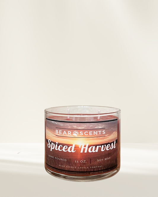 Spiced Harvest 11oz Soy Candle